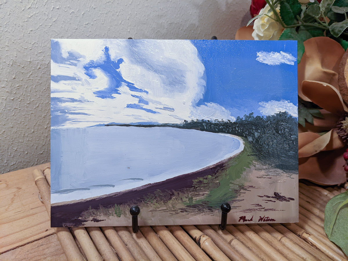 Vieques Beach No. 1