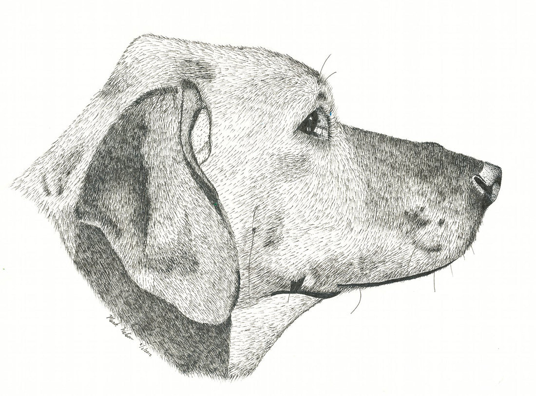 Welcome to Mark Watson Art!