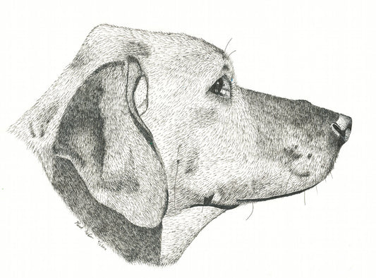 Welcome to Mark Watson Art!