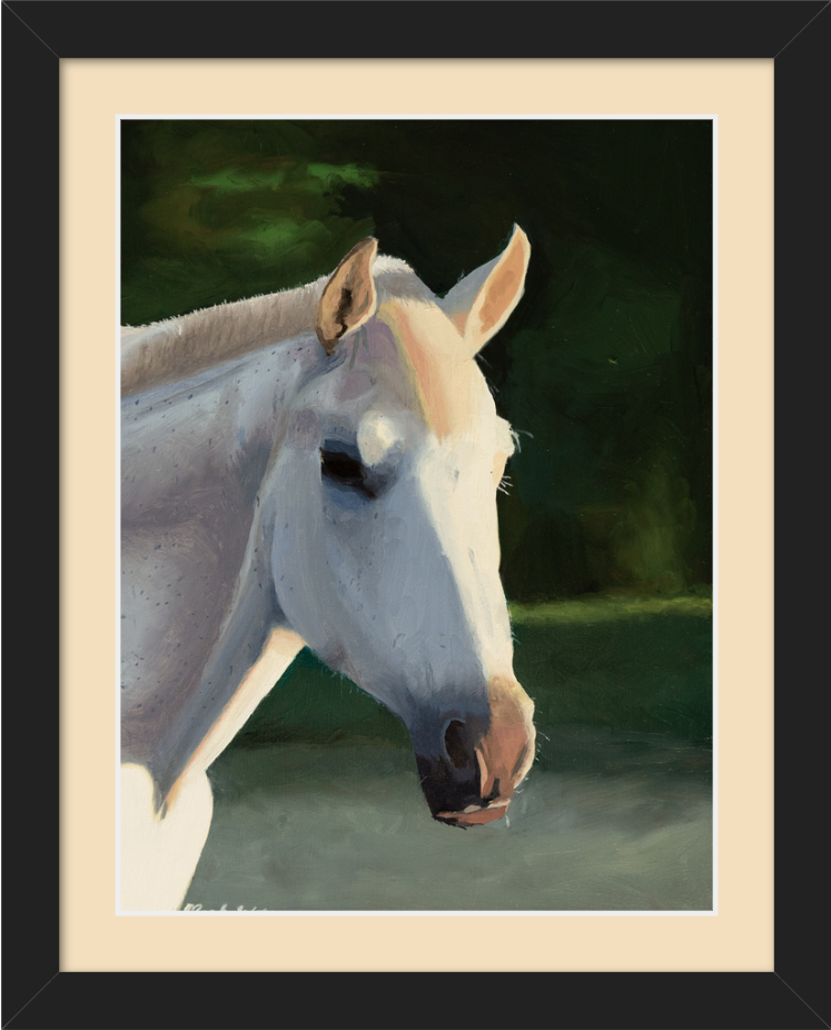 Fine Art Prints