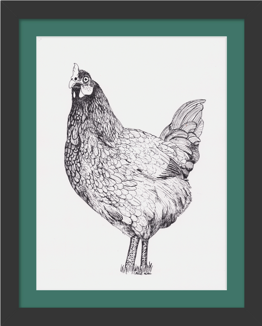 Sassy Chicken (fine art print)