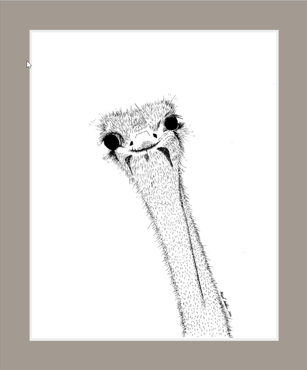 Derpy Ostrich (print)