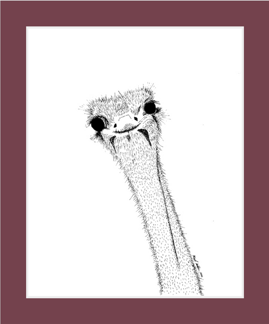 Derpy Ostrich (print)