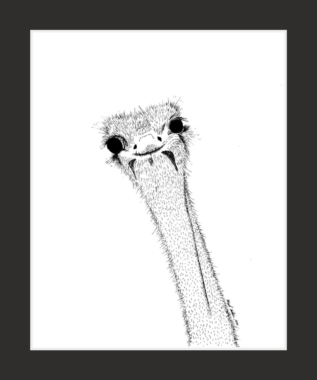 Derpy Ostrich (print)