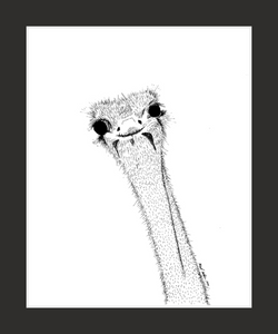 Dirpy Ostrich (print)