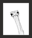 Dirpy Ostrich (print)