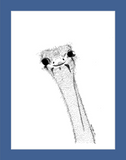 Dirpy Ostrich (print)