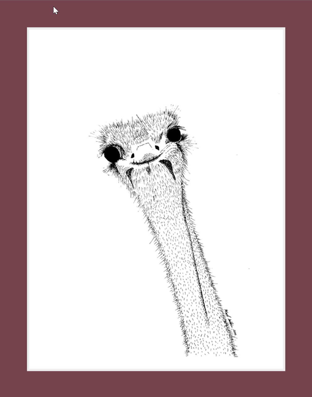 Derpy Ostrich (print)