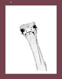 Dirpy Ostrich (print)