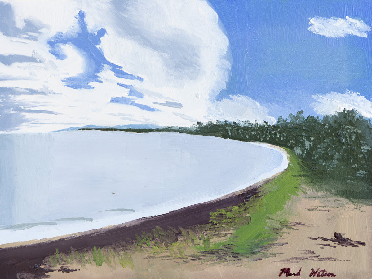 Vieques Beach No. 1